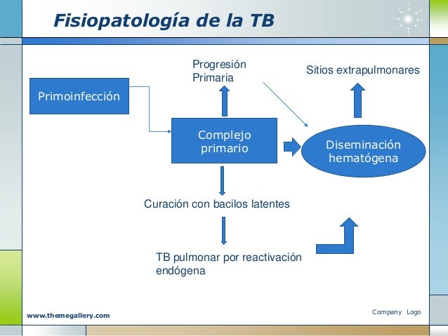 tuberculosis pulmonar fisiopatologia